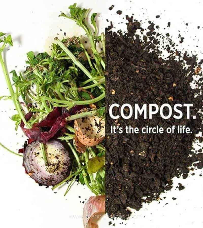 Composting by Garbage Clinic